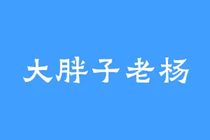 大胖子老杨