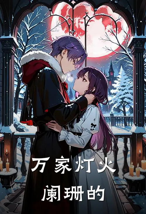 万家灯火阑珊的