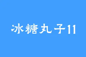 冰糖丸子11