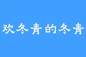 喜欢冬青的冬青子