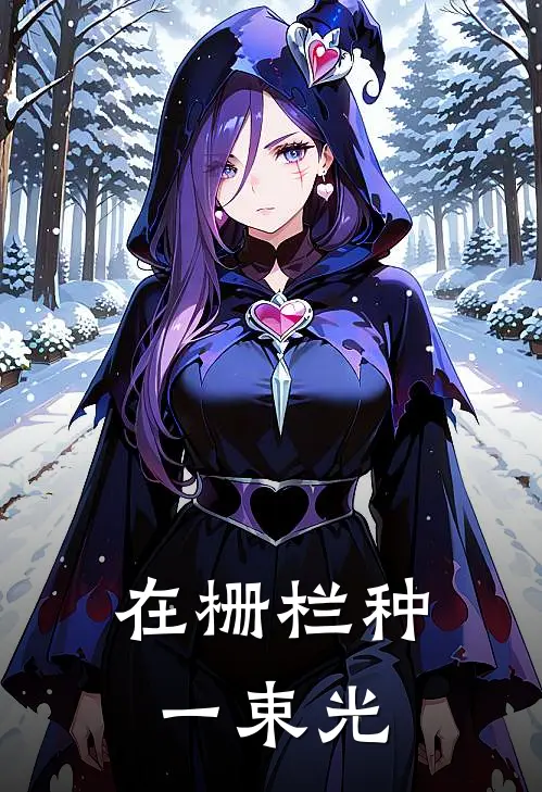 在栅栏种一束光