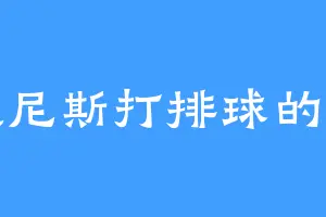 在威尼斯打排球的榴莲
