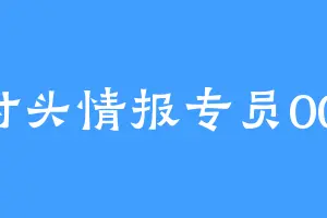 村头情报专员001