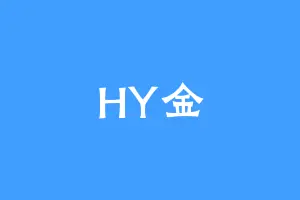 HY金