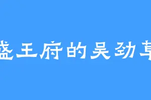 盛王府的吴劲草