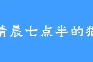 清晨七点半的猫