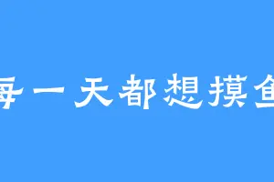 每一天都想摸鱼