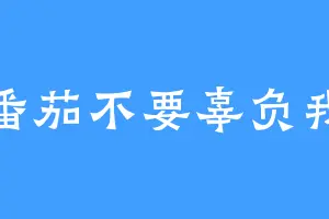 番茄不要辜负我