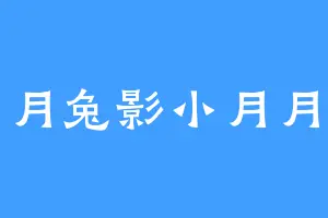 月兔影小月月