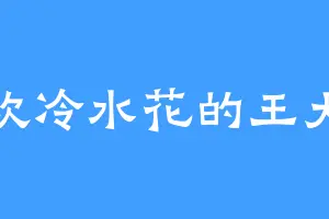 喜欢冷水花的王大夫