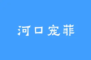 河口宠菲