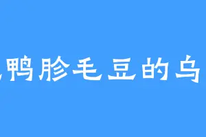 爱吃鸭胗毛豆的乌将军