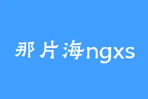 那片海ngxs