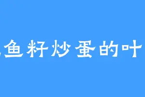 爱吃鱼籽炒蛋的叶无道