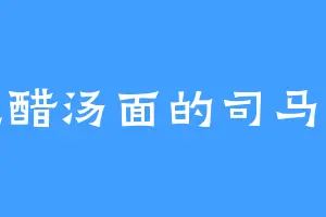 爱吃醋汤面的司马南光