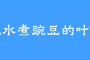 爱吃水煮豌豆的叶轻雪