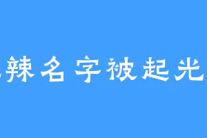 丸辣名字被起光辣