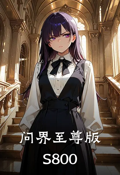 问界至尊版S800