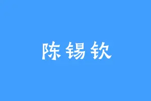陈锡钦