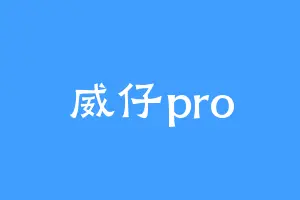 威仔pro
