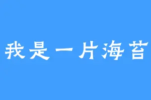 我是一片海苔