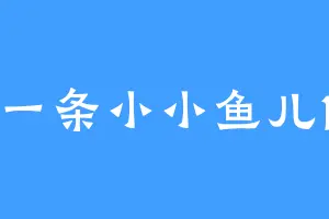 一条小小鱼儿1